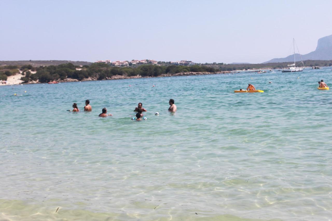 Olbia Tempio Apartment Екстериор снимка